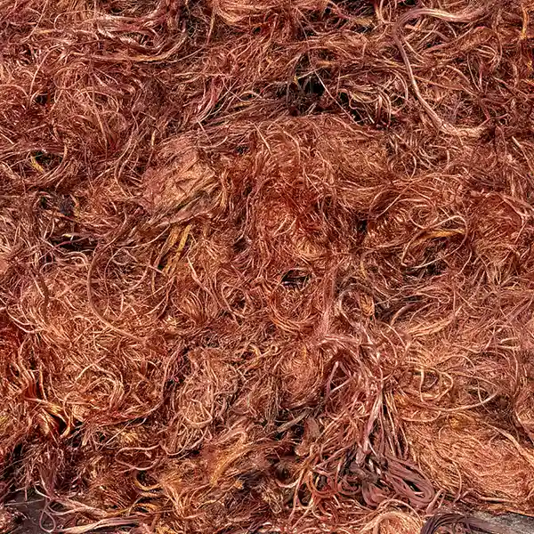 Copper Millberry Gallery